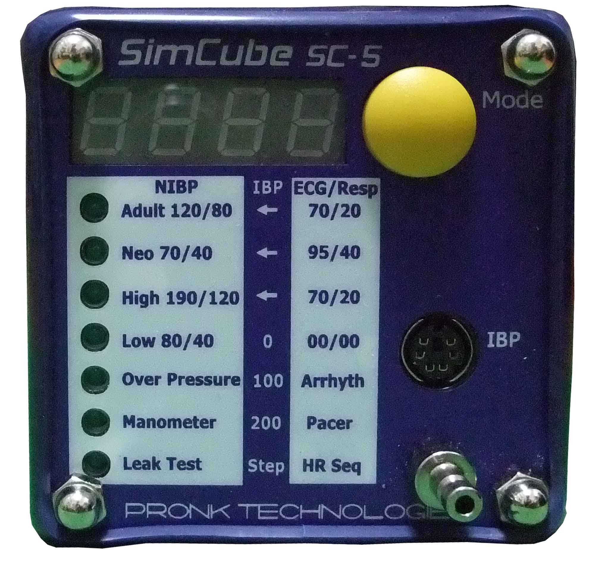 SimCubeʉ摜